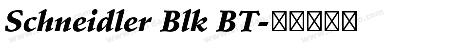 Schneidler Blk BT字体转换